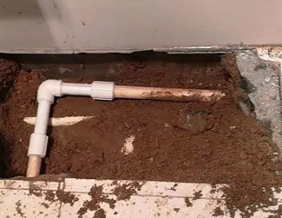 爱辉测漏水哪家好