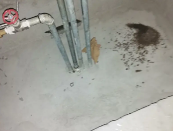 爱辉卫生间测漏水价格明细