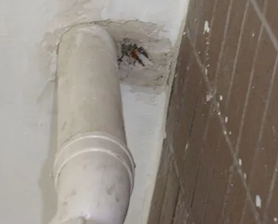 爱辉漏水检测哪家好